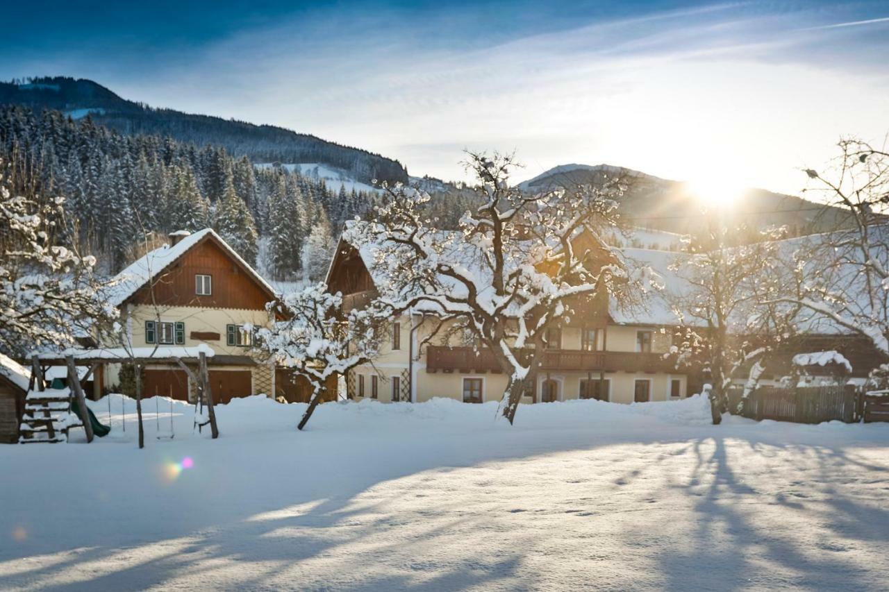 Moserhof Хаус-им-Энншталь Экстерьер фото
